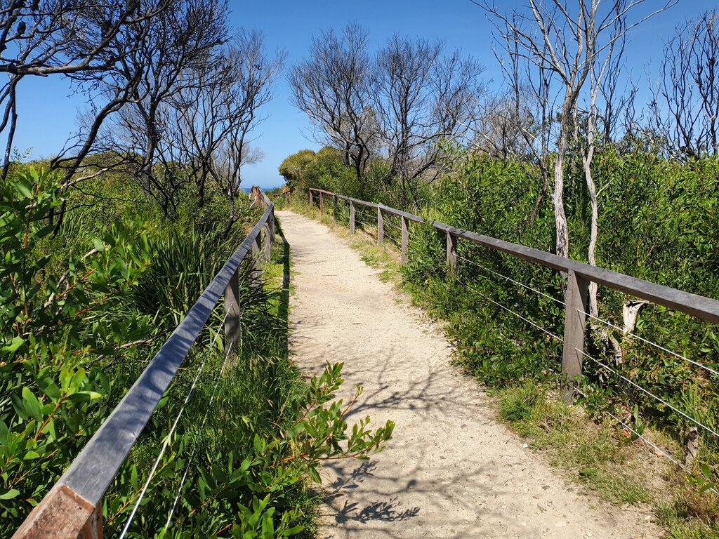 Naherholung an der Küste von Sydney