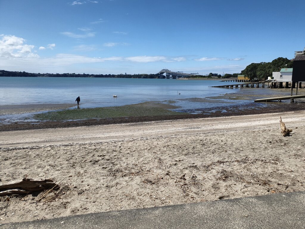 Einer der Strände von Herne Bay mit der Auckland Harbour Bridge im Hintergrund