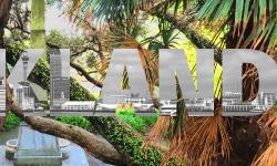 Featured image of post Am Anfang war Auckland