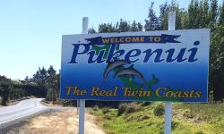 Featured image of post Blueberry picking in the Far North