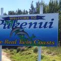 Blueberry picking in the Far North