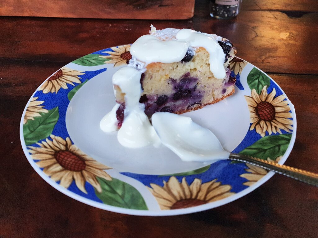 Debbies Blaubeerkuchen