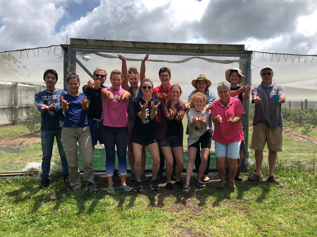 Far North Blueberries Crew 2019