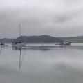 Boat trip at the end of the blueberry season