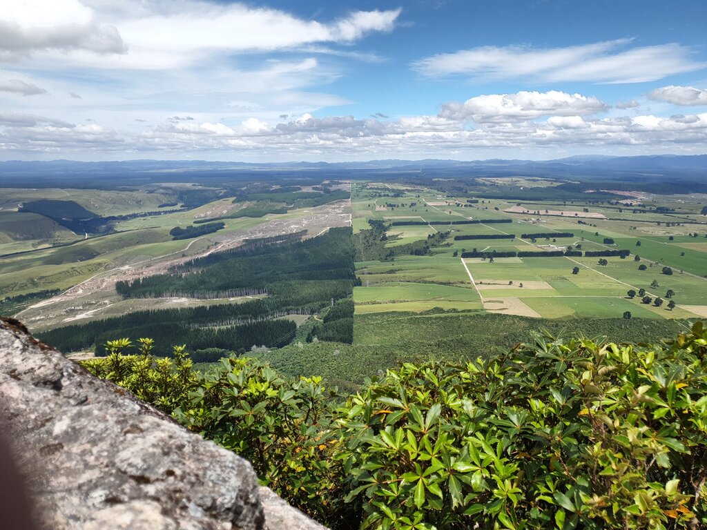 Links Wald, rechts Feld