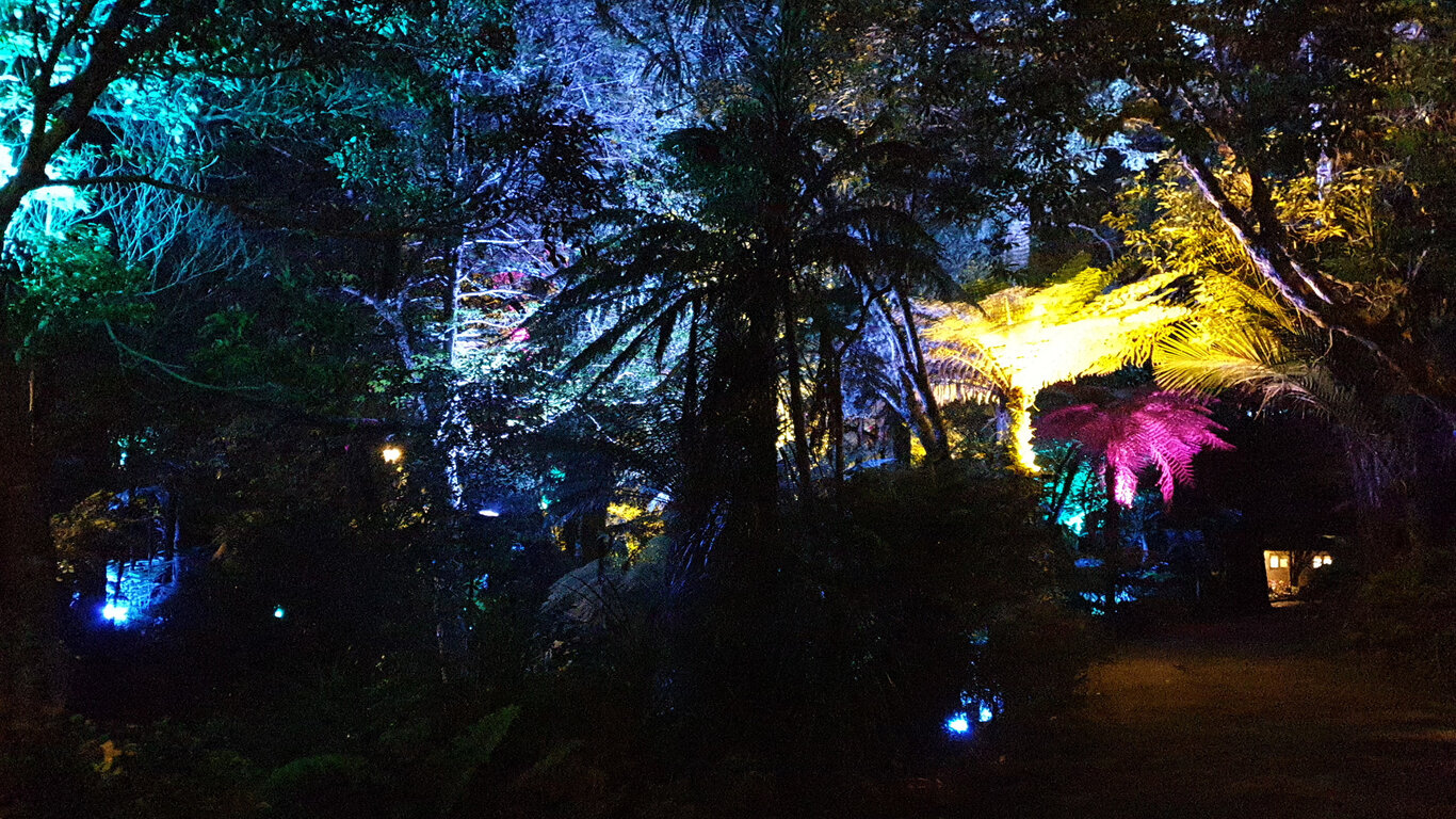 Bunte Beleuchtung statt Feuerwerk an Sylvester beim Festival of Lights in New Plymouth