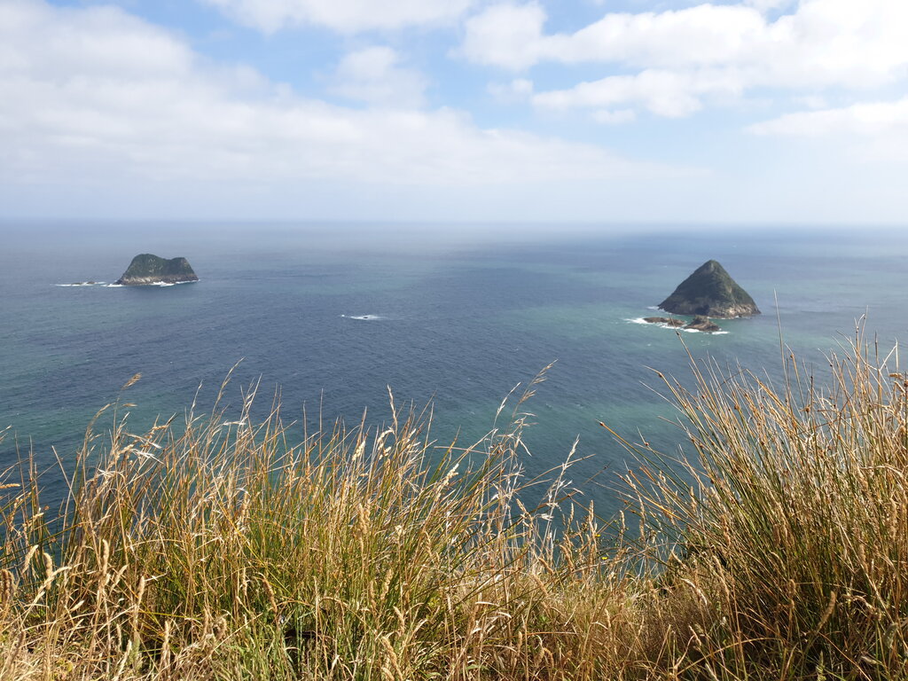 Blick von einem Fels vor New Plymouth