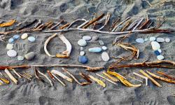 Featured image of post Ungezähmt, vertikal, westlich