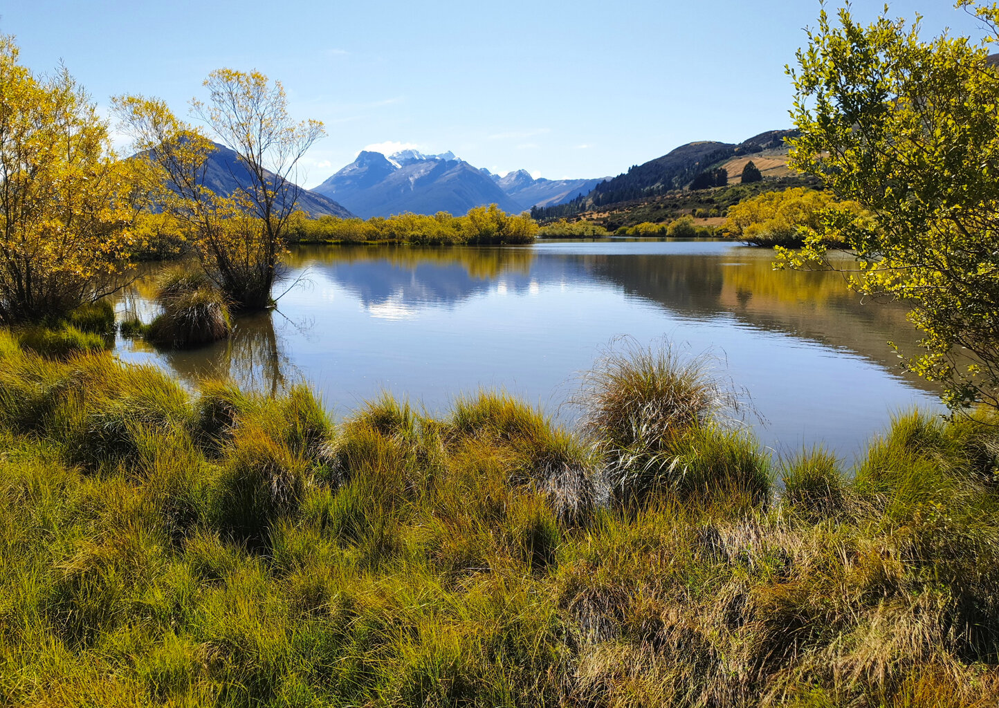 Bei Glenorchy liegt eine Lagune am nördlichen Einlass des Sees, bei der mir der Kontrast aus flachem Feuchtgebiet und steilen Bergen sehr gut gefallen hat.