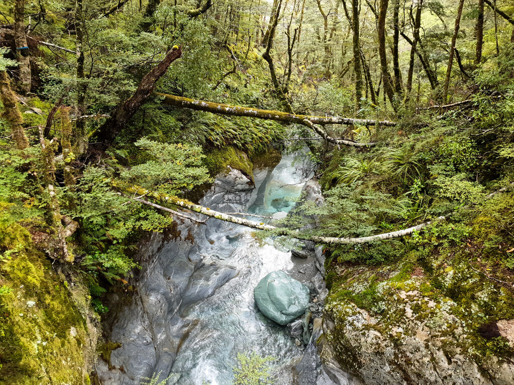 Regnerische Kostprobe des Routeburn Tracks