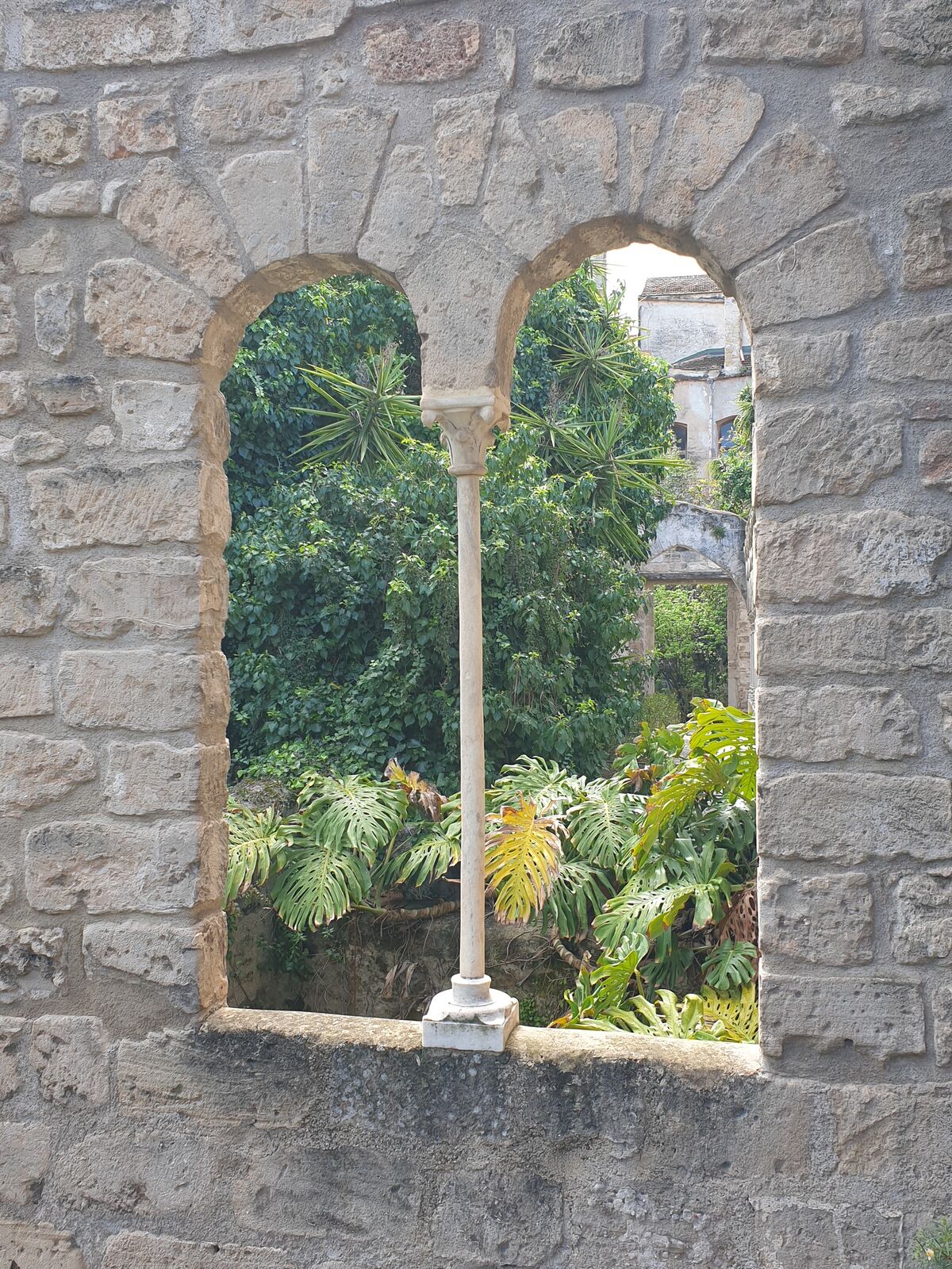 View of a monstera plant at Chiesa di San Giovanni degli Eremiti