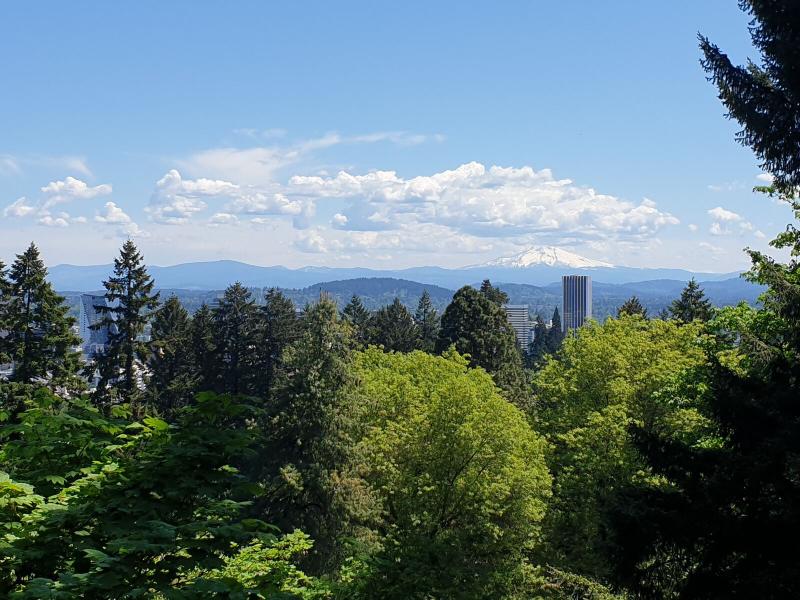 Featured image of post Spring in the Pacific North-West