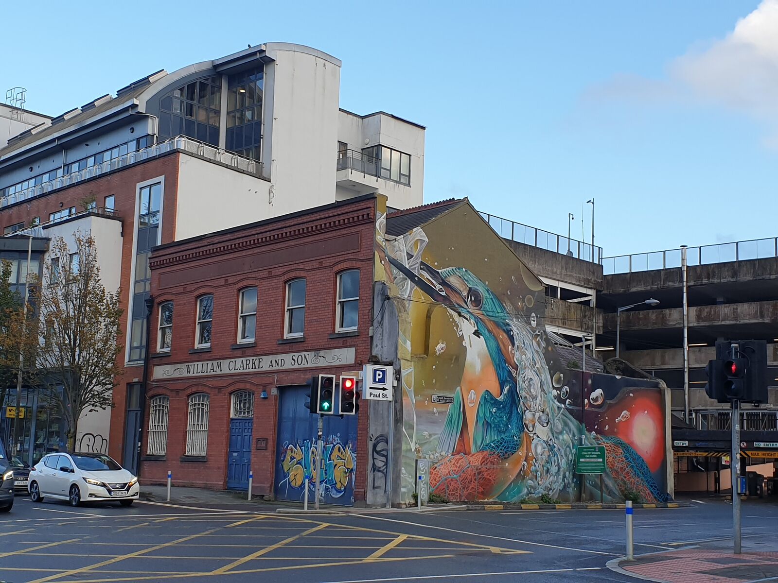 Kingfisher graffiti in Cork