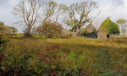 Featured image of post Roadtrip in Irland