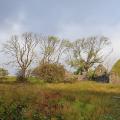 Roadtrip in Irland