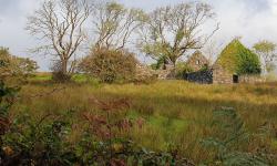 Featured image of post Roadtrip in Irland