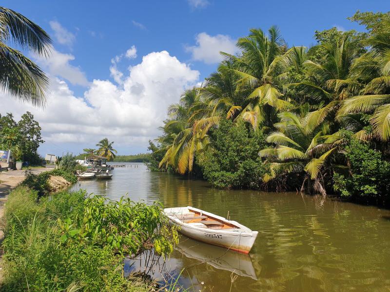 Featured image of post Escaping rainy autumn to Guadeloupe