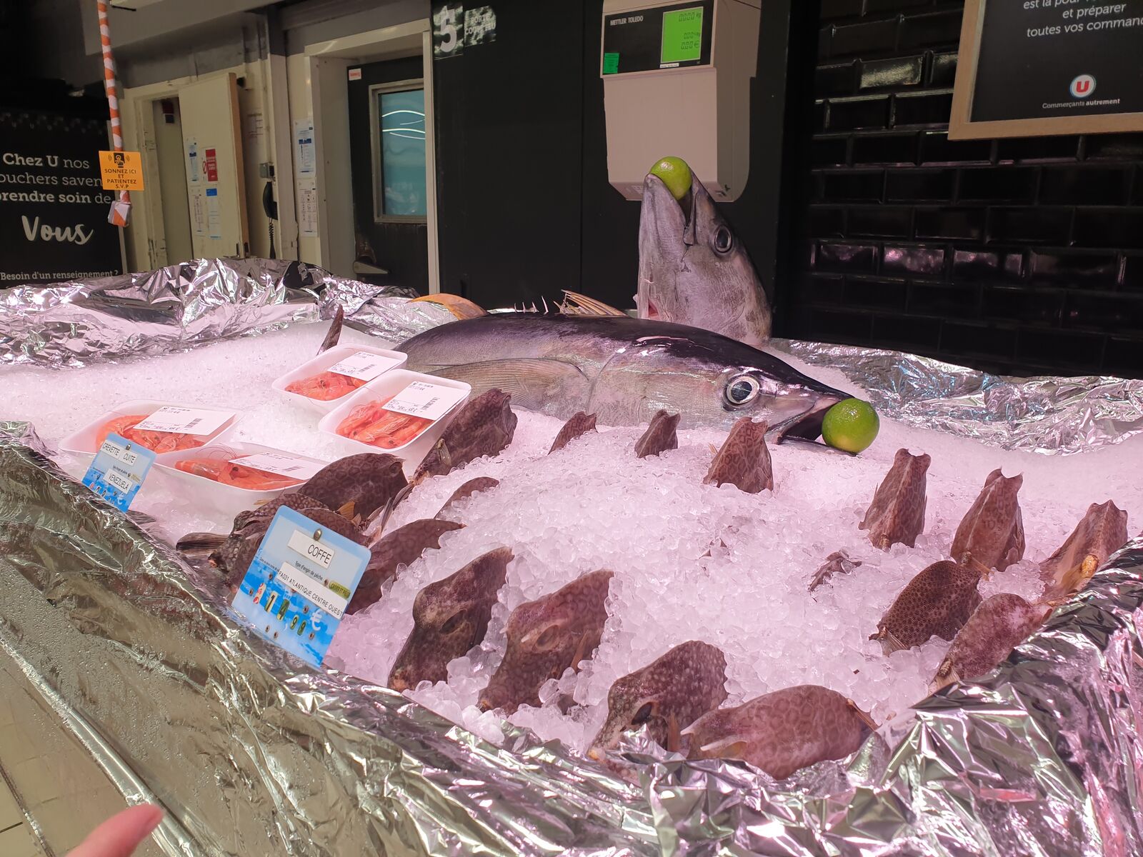 Fresh tuna in the “Super U” supermarket