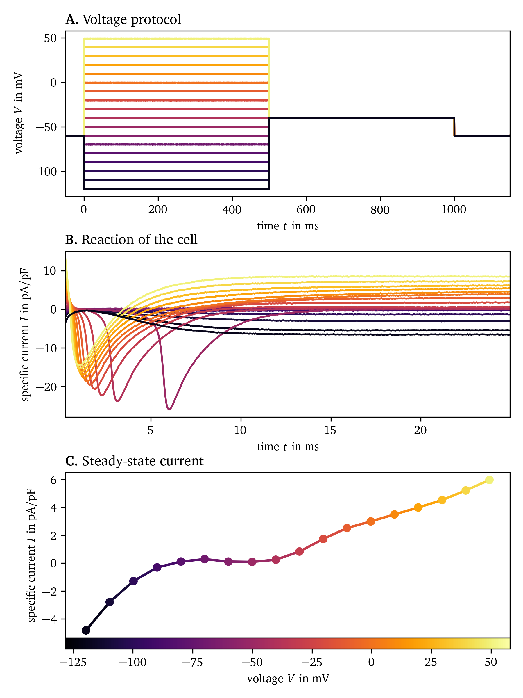 Measurement of the steady-state current of hiAMs using patch clamping