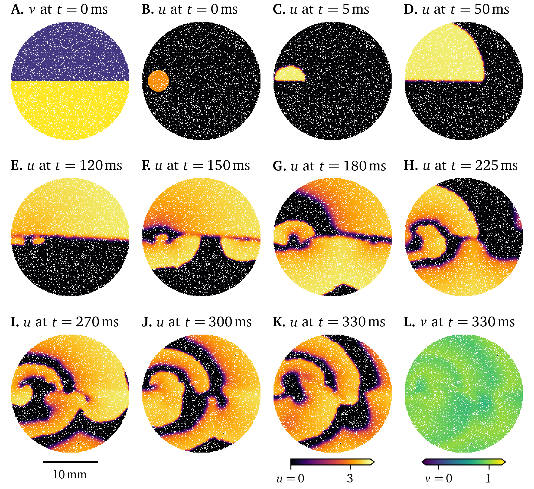 Simulation showing chaotic behaviour