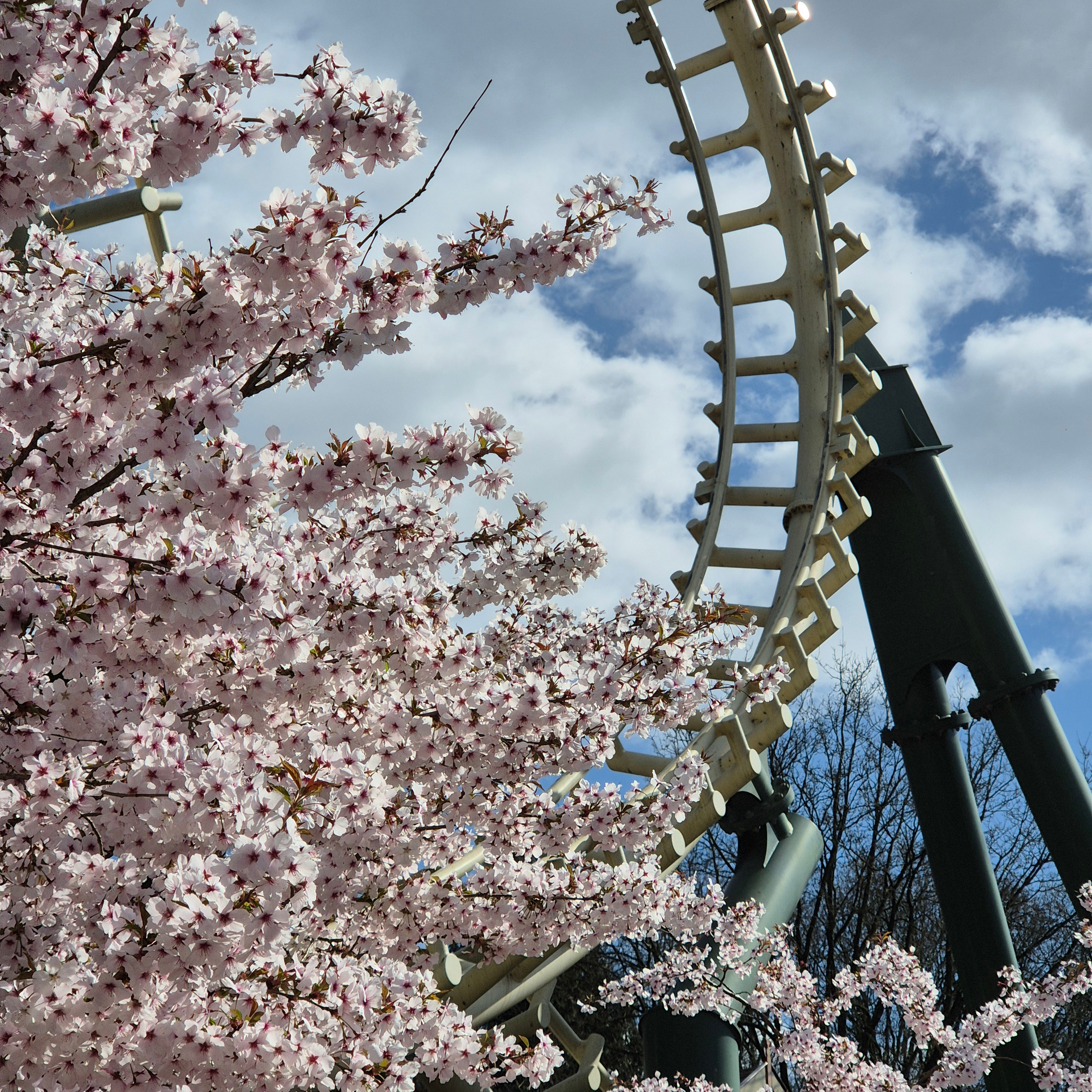 Python, Efteling, Nederland