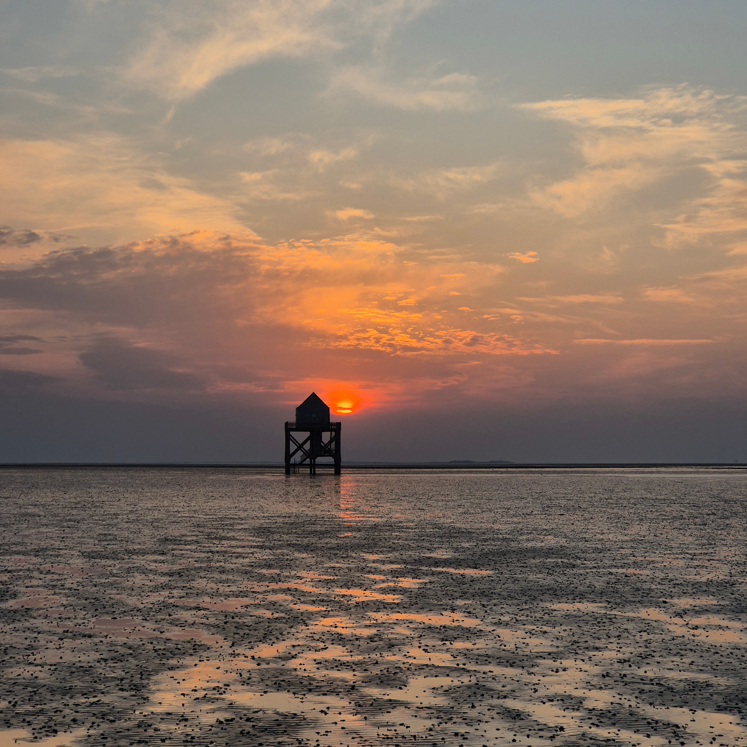 Het Rif, Waddenzee, Nederland