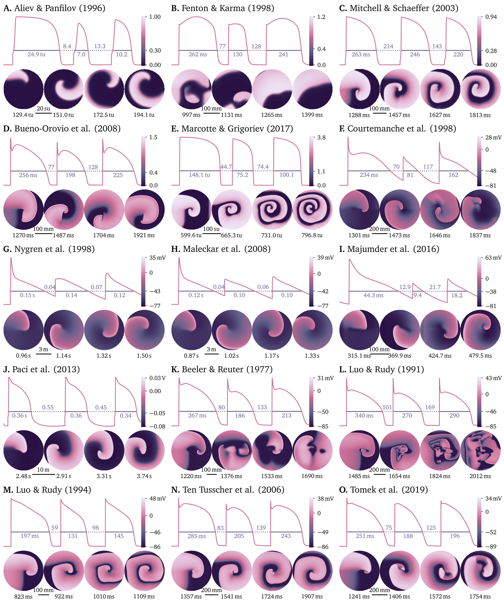 Models for cardiac electrophysiology that are pre-defined in Pigreads