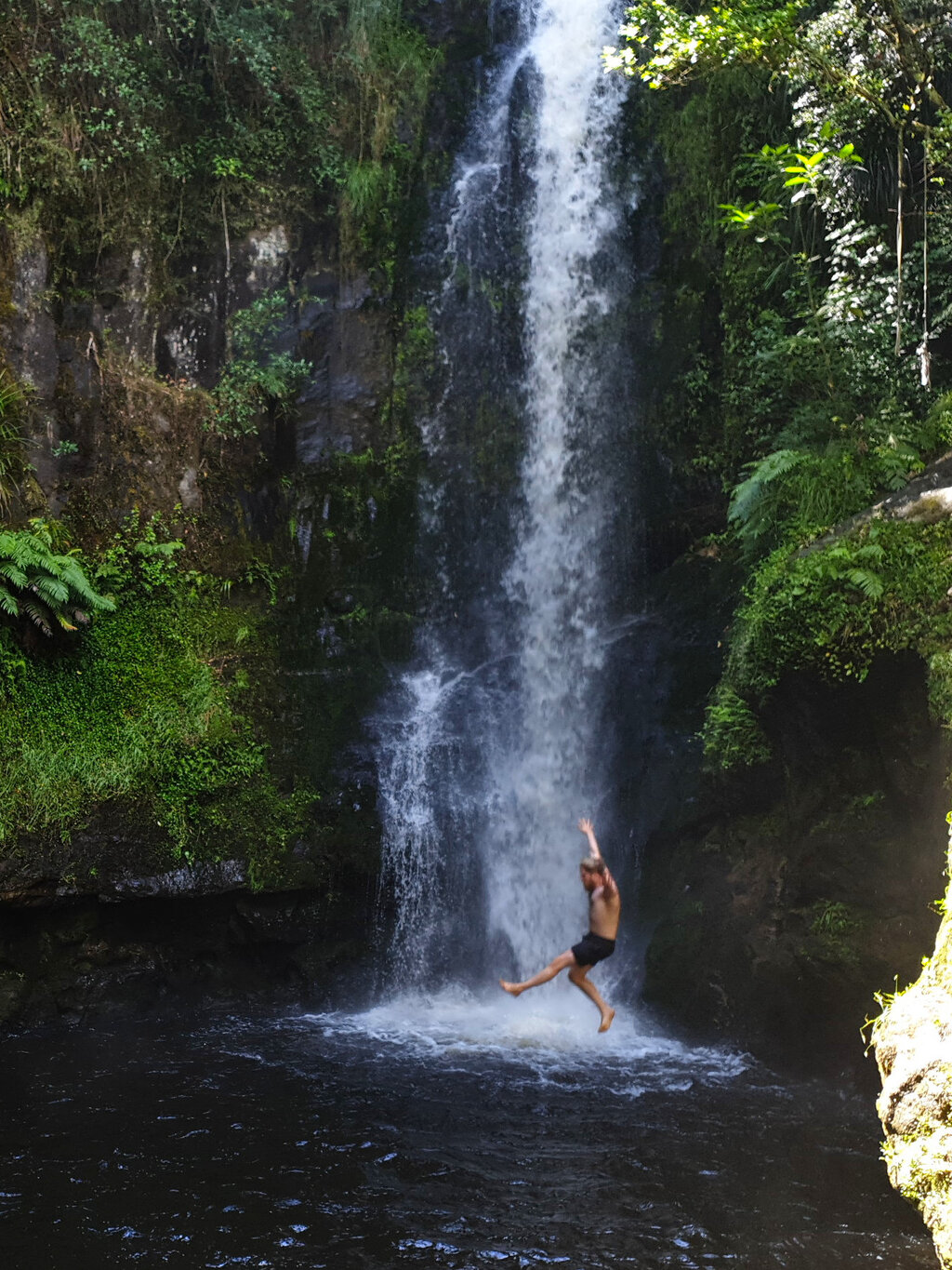 Auf dem Weg nach Pikowai haben wir uns mal wieder einen Wasserfall angesehen, dieser hatte ein tiefes Becken, in das man super hinein springen konnte.