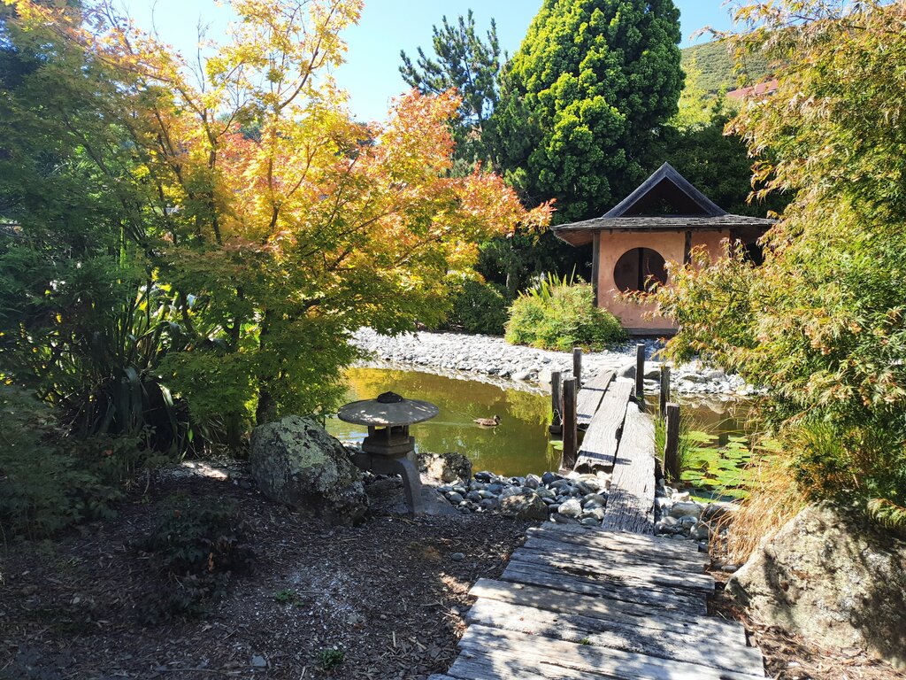 Um die Verbundenheit mit Nelsons Partnerstadt Miyazu in Japan darzustellen, gibt es einen malerischen japanischen Garten mit neuseeländischer Flora.