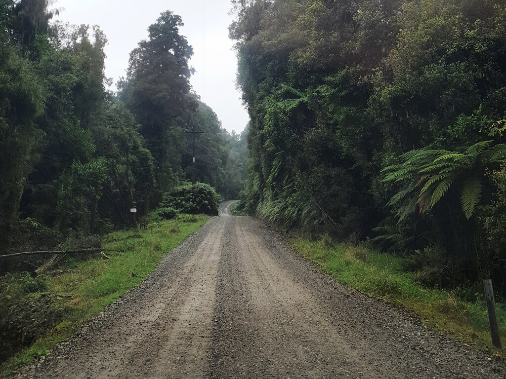 Typische Straße durch den Regenwald