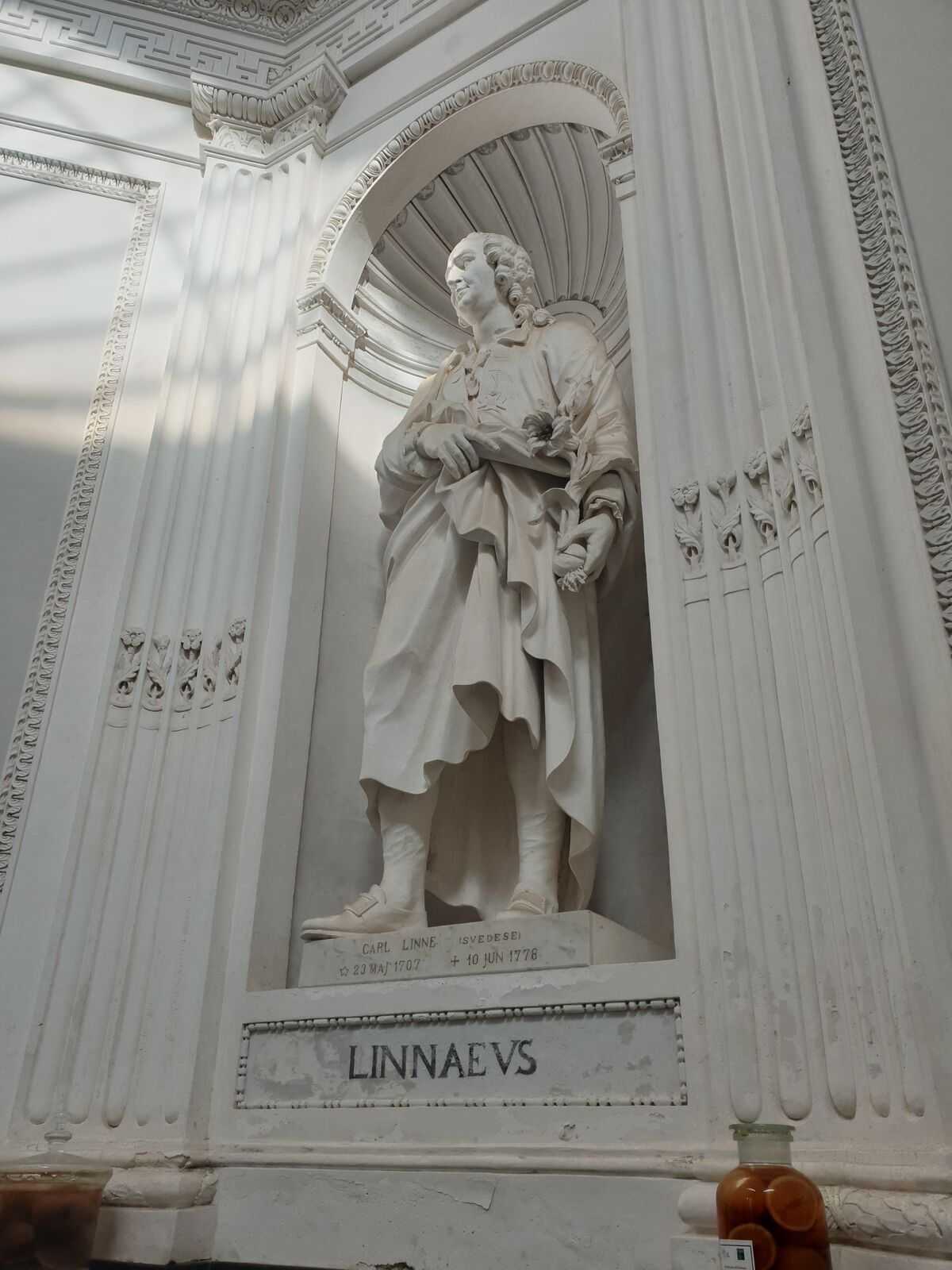 Statue von Carl Linnaeus im botanischen Garten