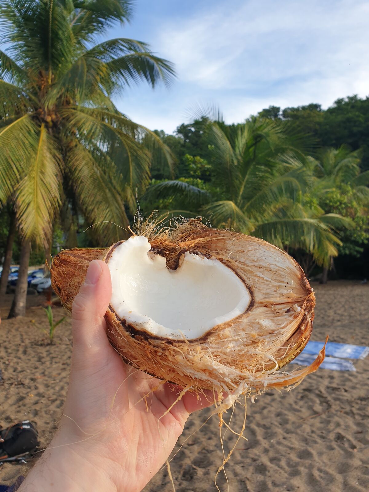 Frische Kokosnuss am Strand