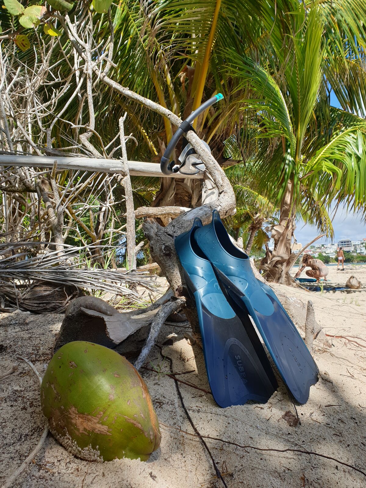 Um Guadeloupe gibt es viele geeignete Stellen um zu Schnorcheln.